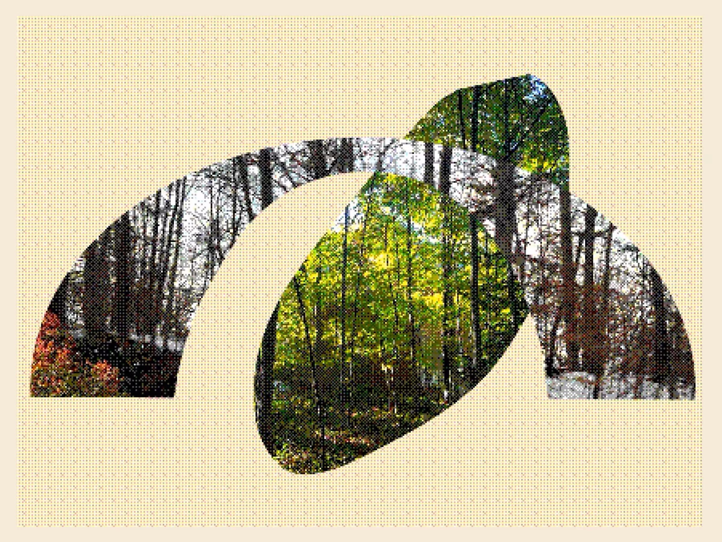 Winter Arch Spring Oval