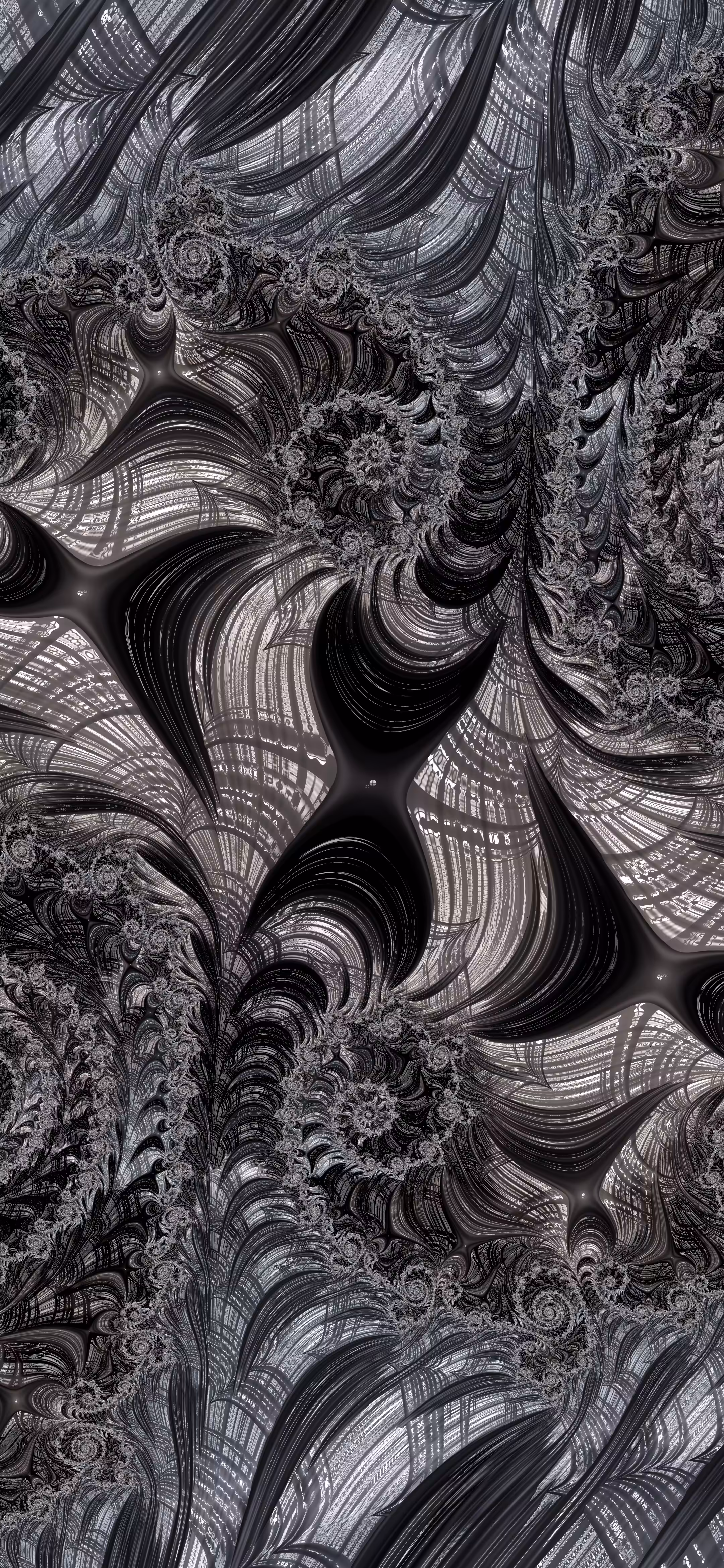 Monochrome Fractal