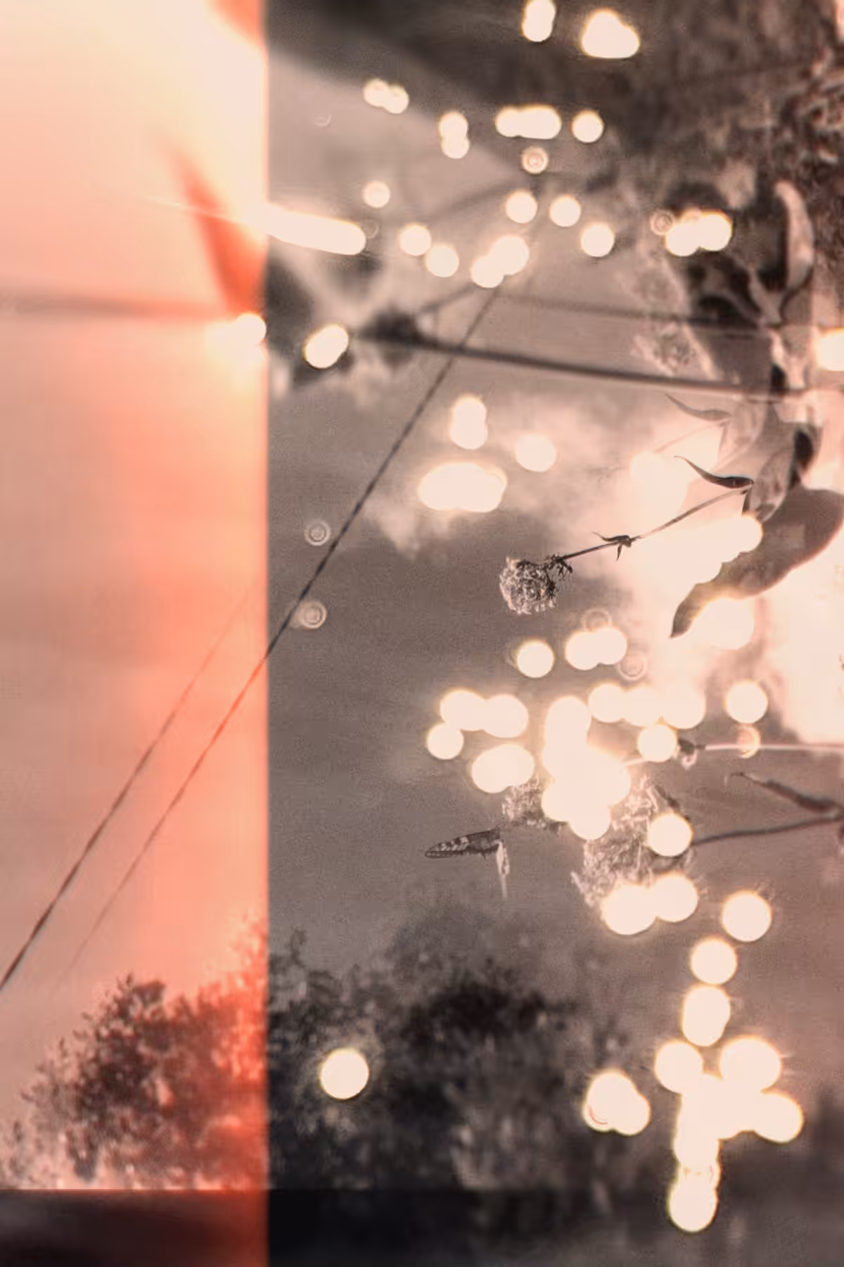 Diaries #40