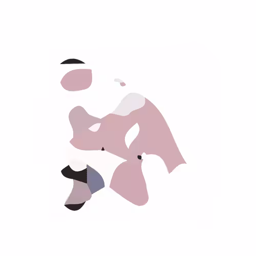 Rattata #019