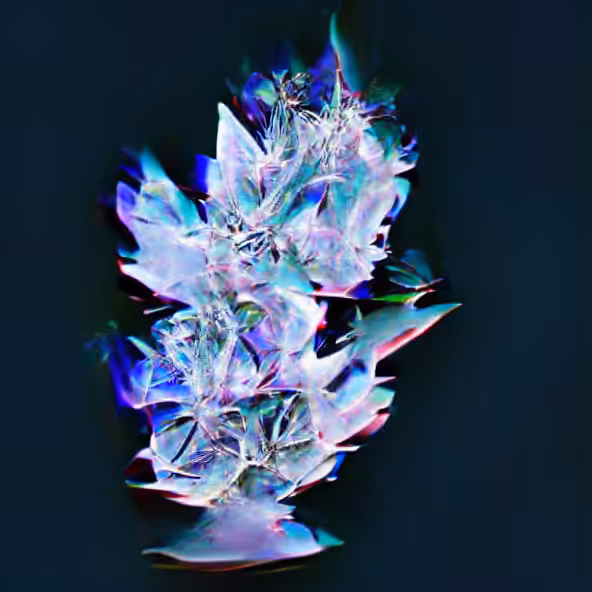 #2 Florescent Celestial