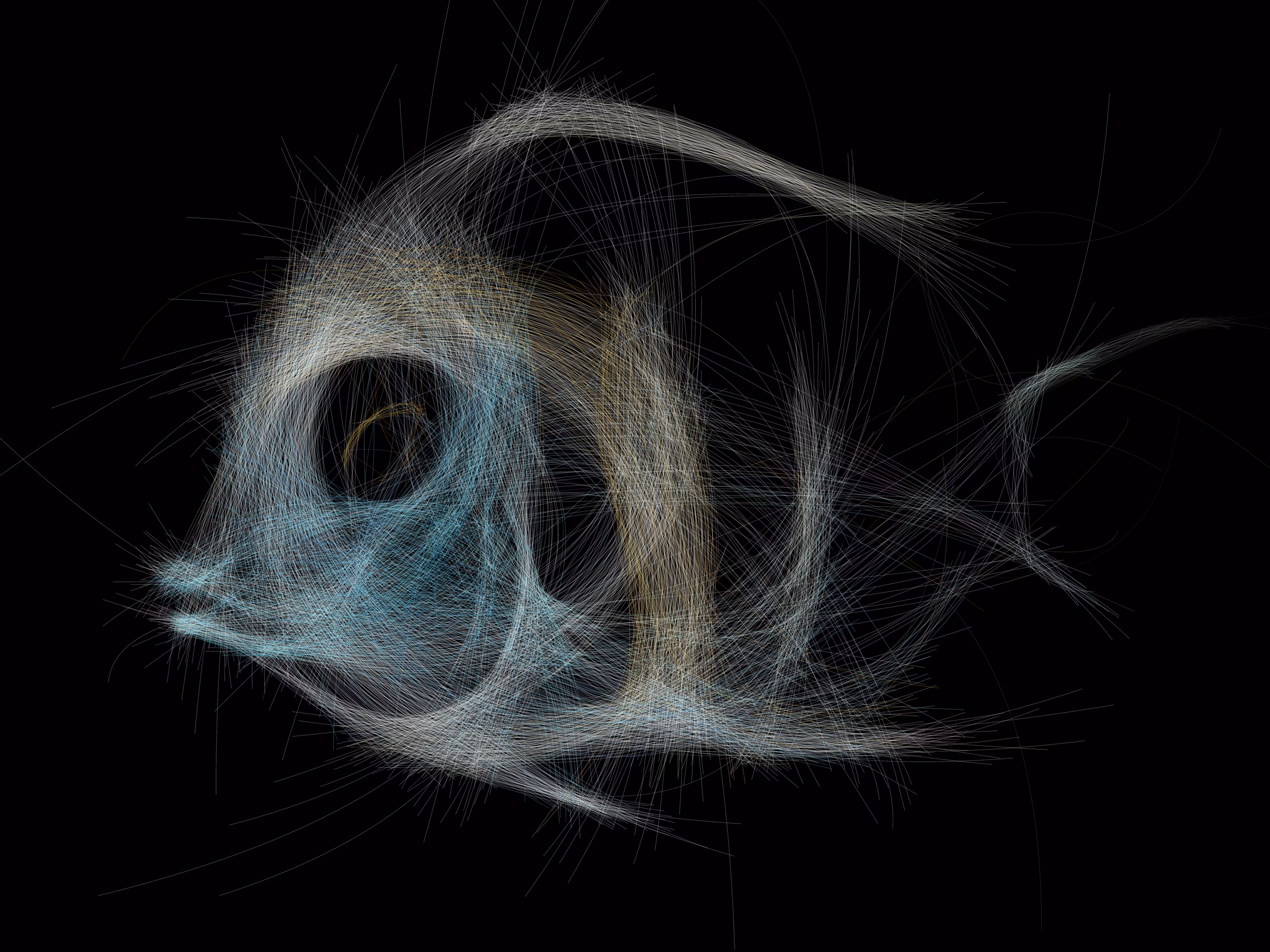 Underwater 237