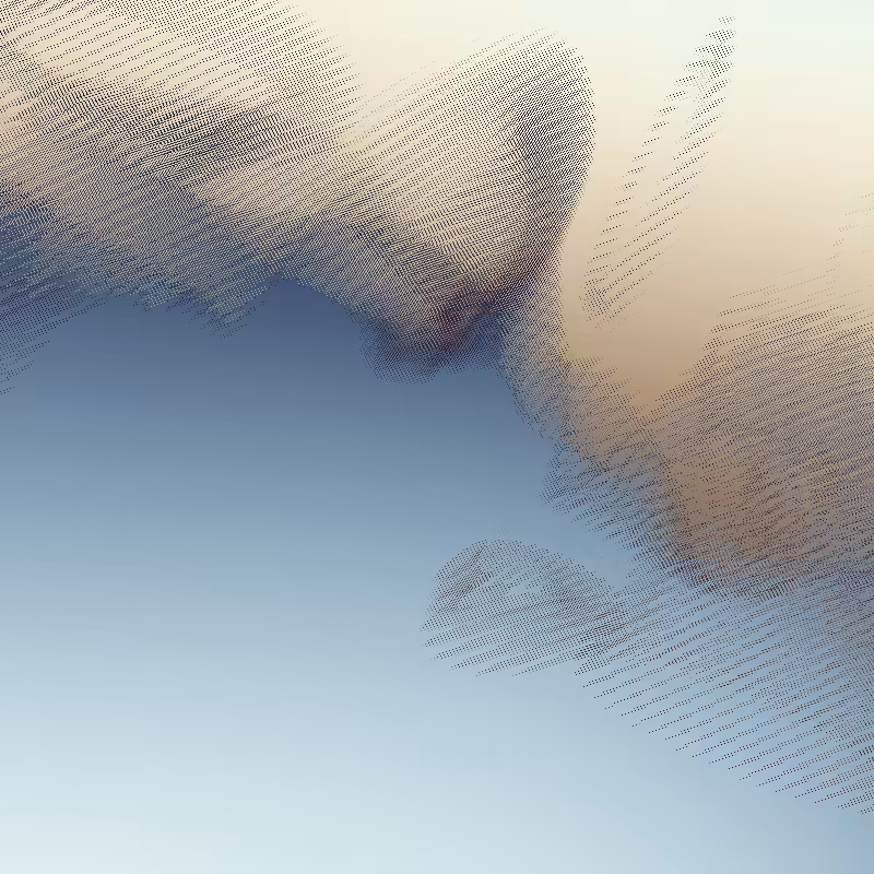Nephology #11