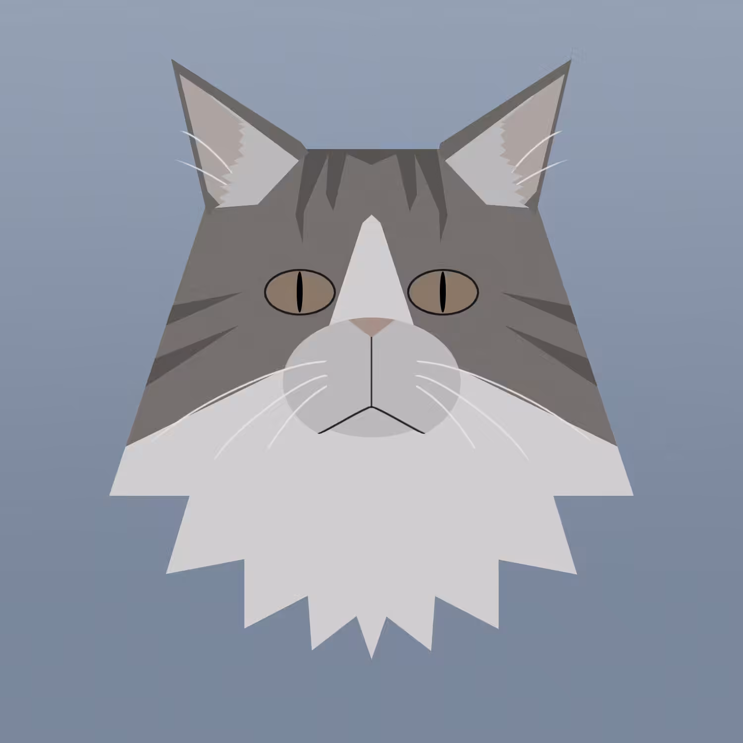 kitty #24 - siberian