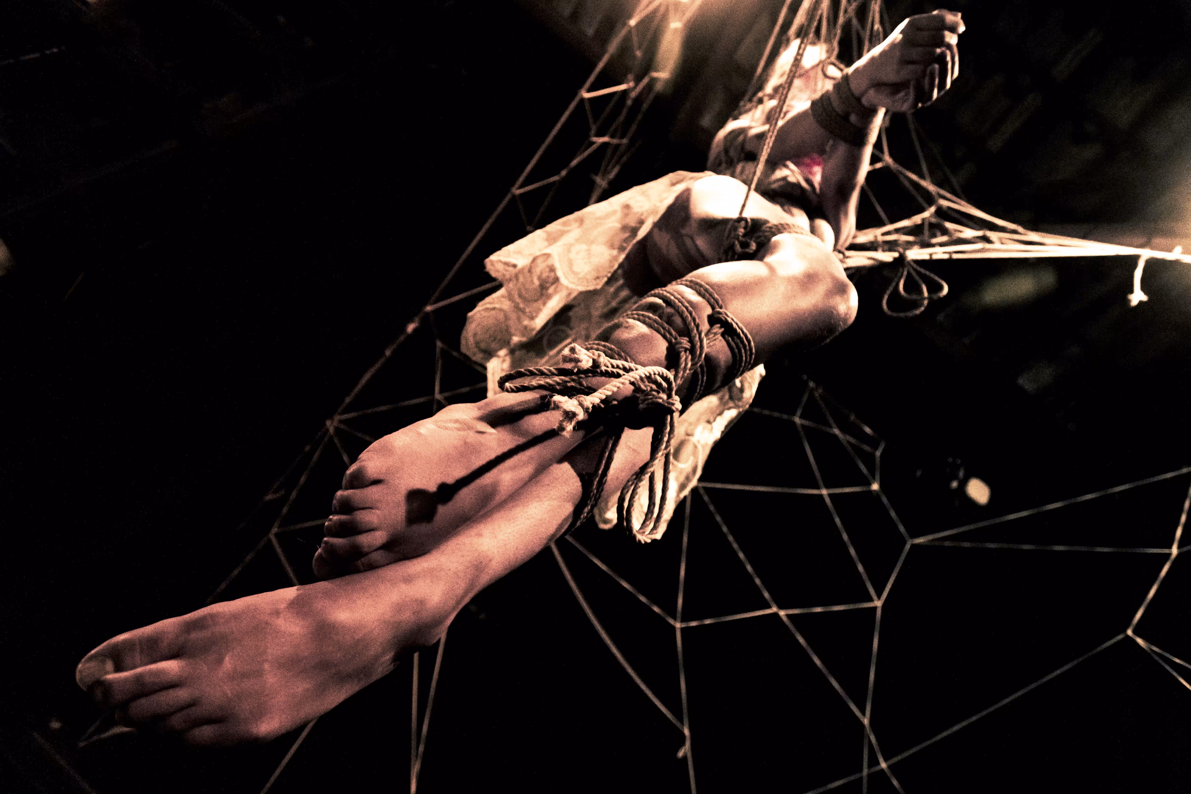 Web (rare bonus)