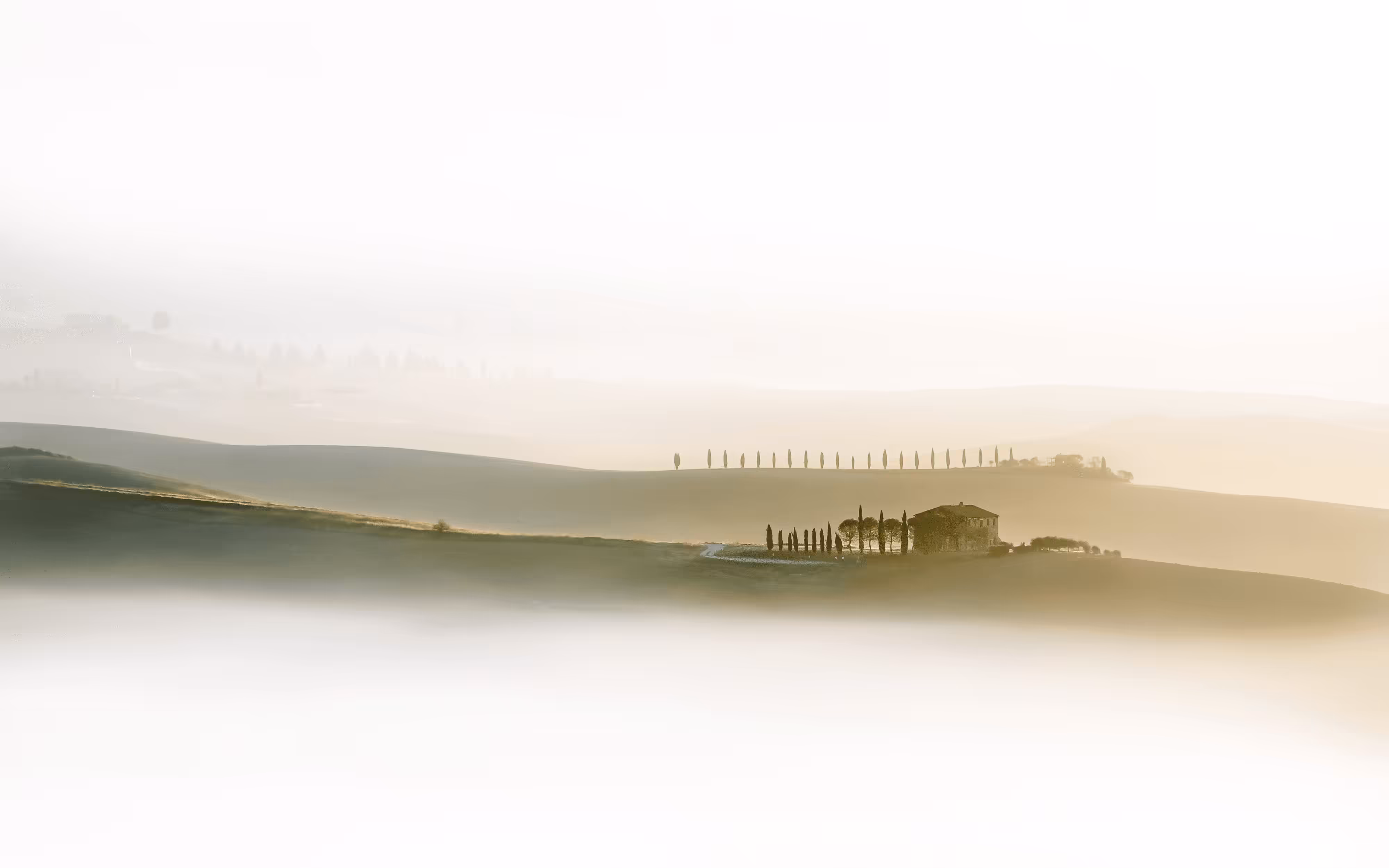Quiet Noise #5 - Tuscany Fog