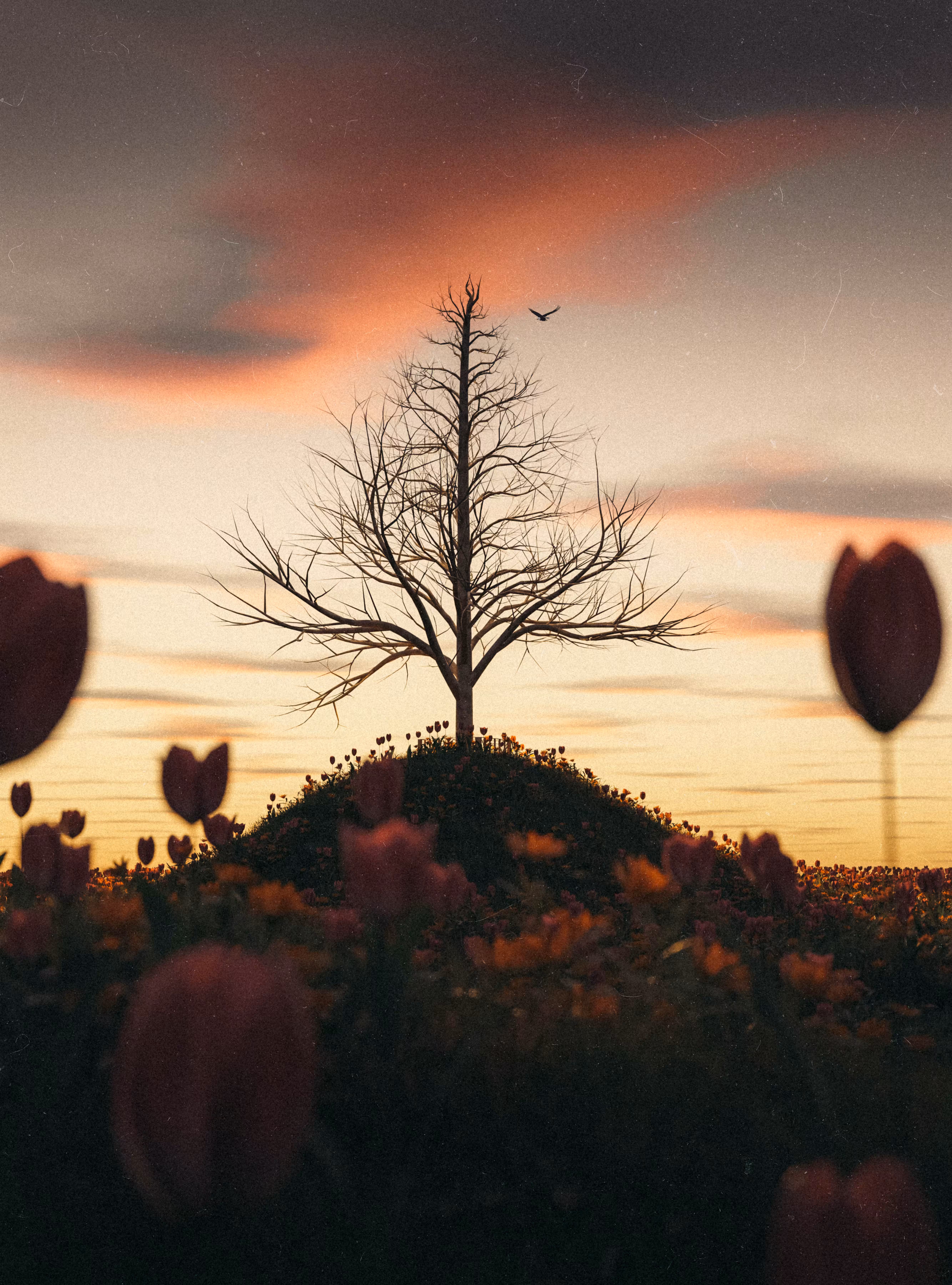 Tree #11