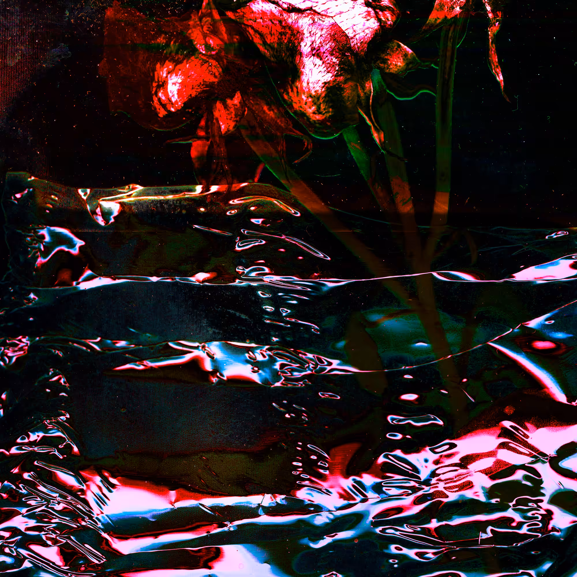 XxScanxXxTw0