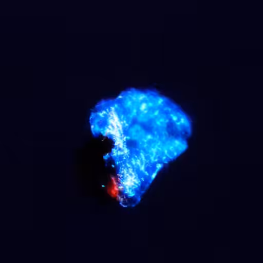 Supernova with a hint of sadness