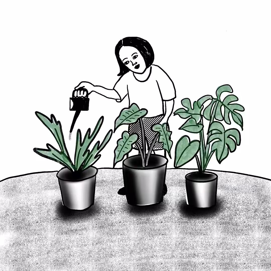 Stay at Home 01-Plants