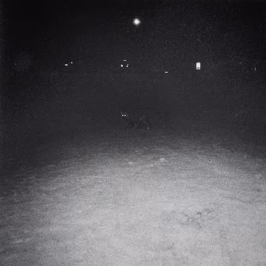 353