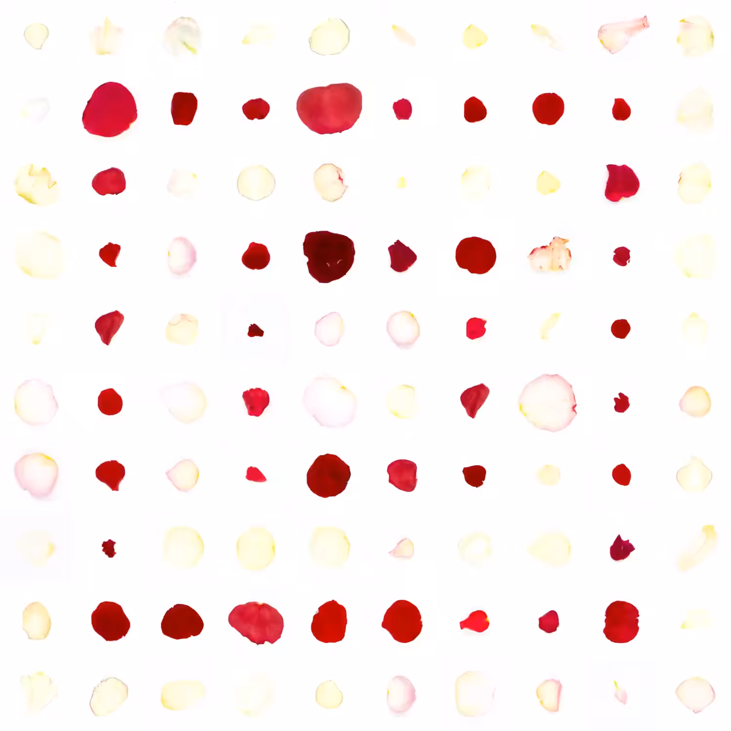 Infinite Petals 10x10#10109