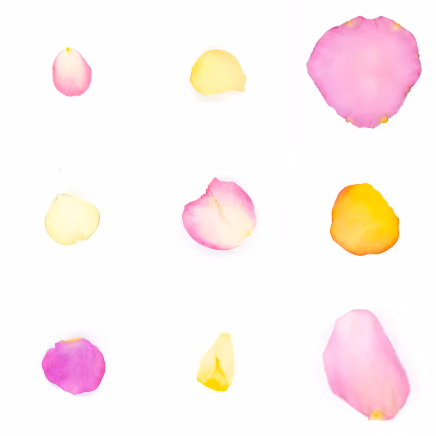 Infinite Petals 3x3#3079