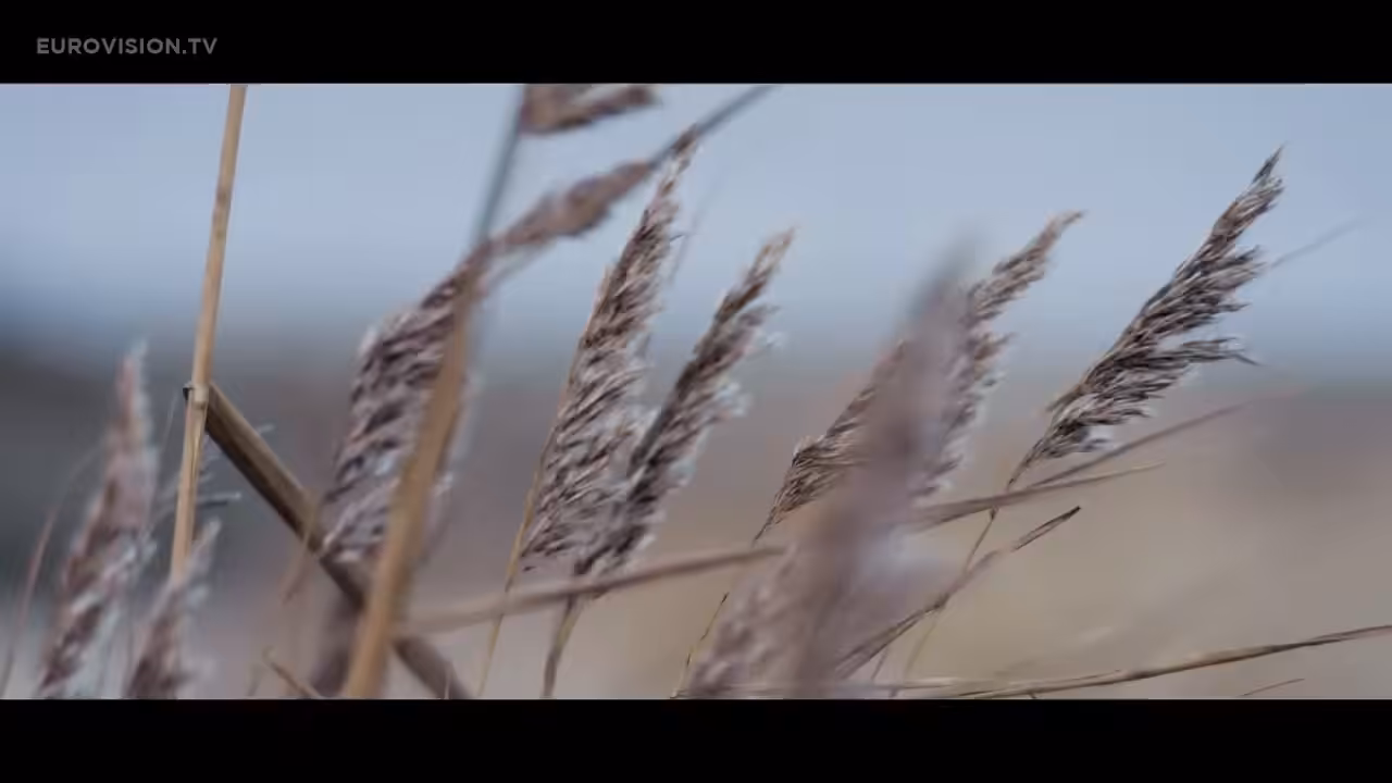 Sing It Away 