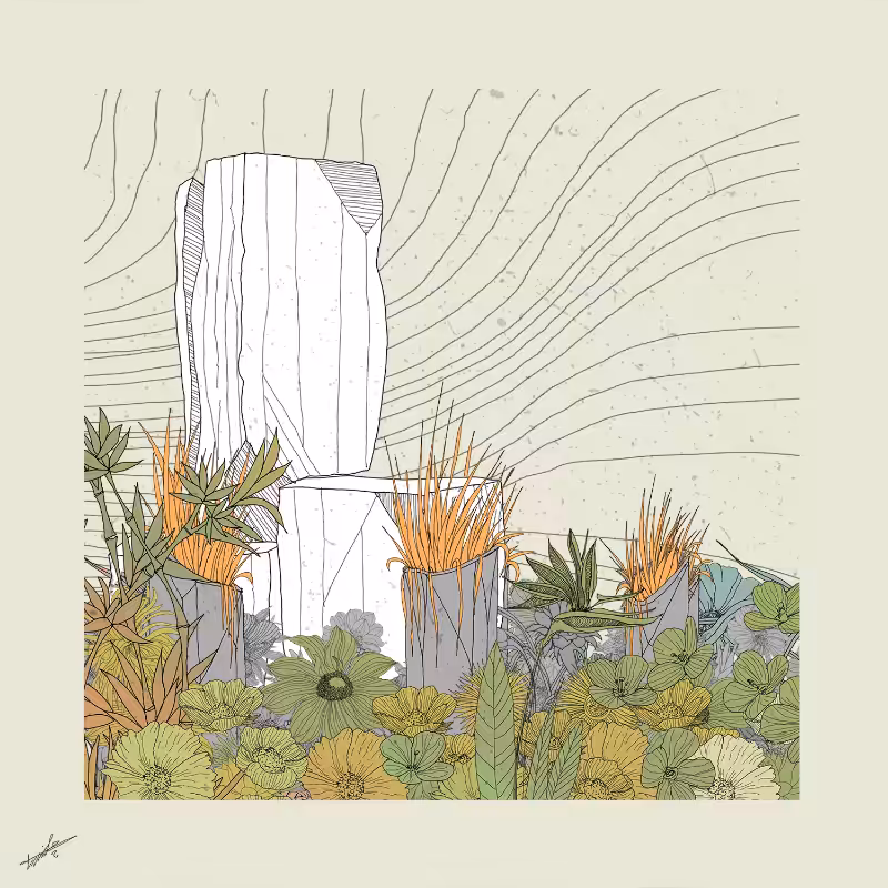 Garden of Lines #Rocks_Blooms #4