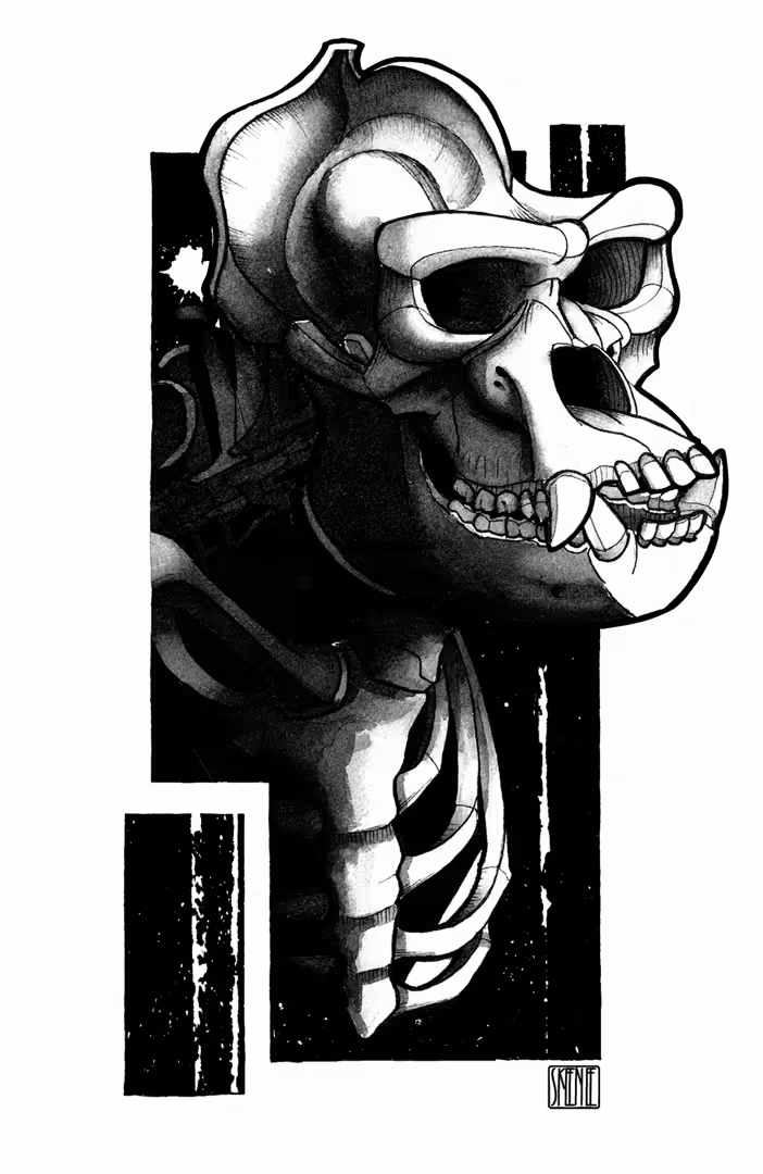 Gorilla Skeleton