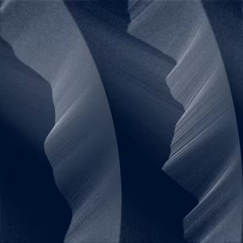 Microsillon #20
