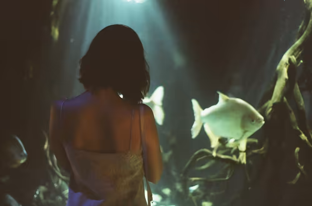 Andrea y el Acuario #1