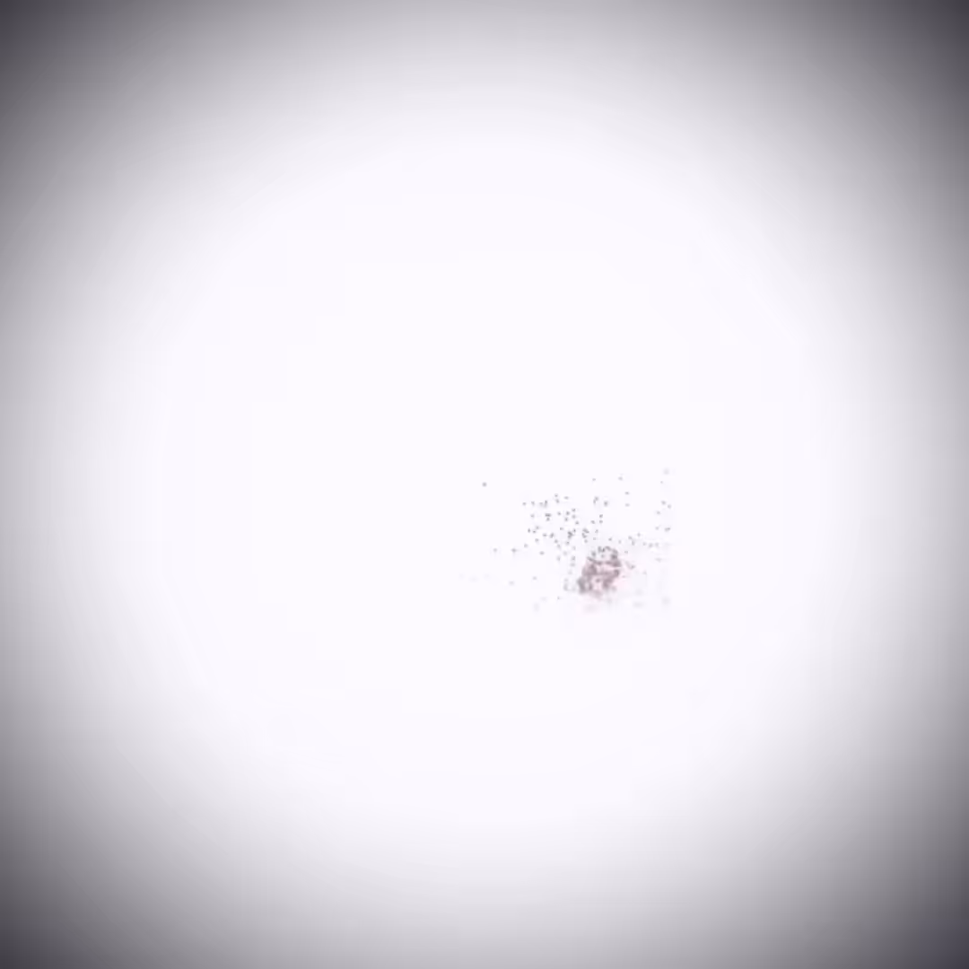 REZ006