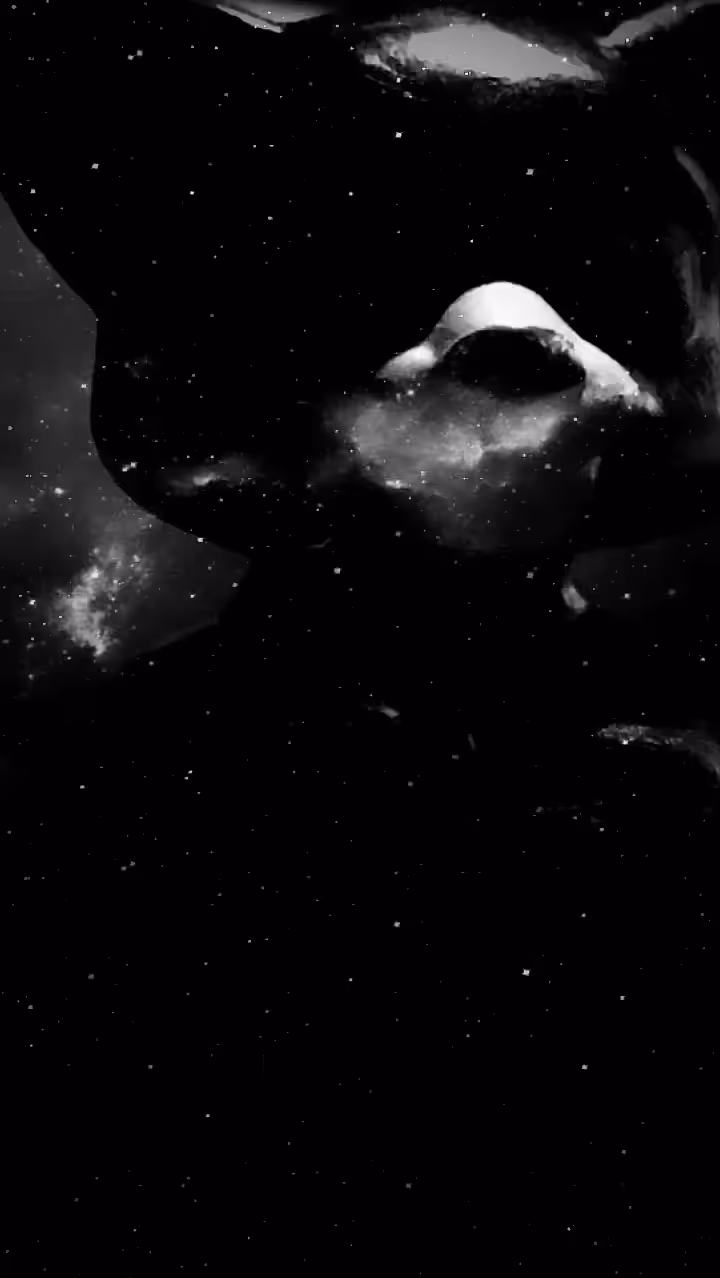 Space Cat 2