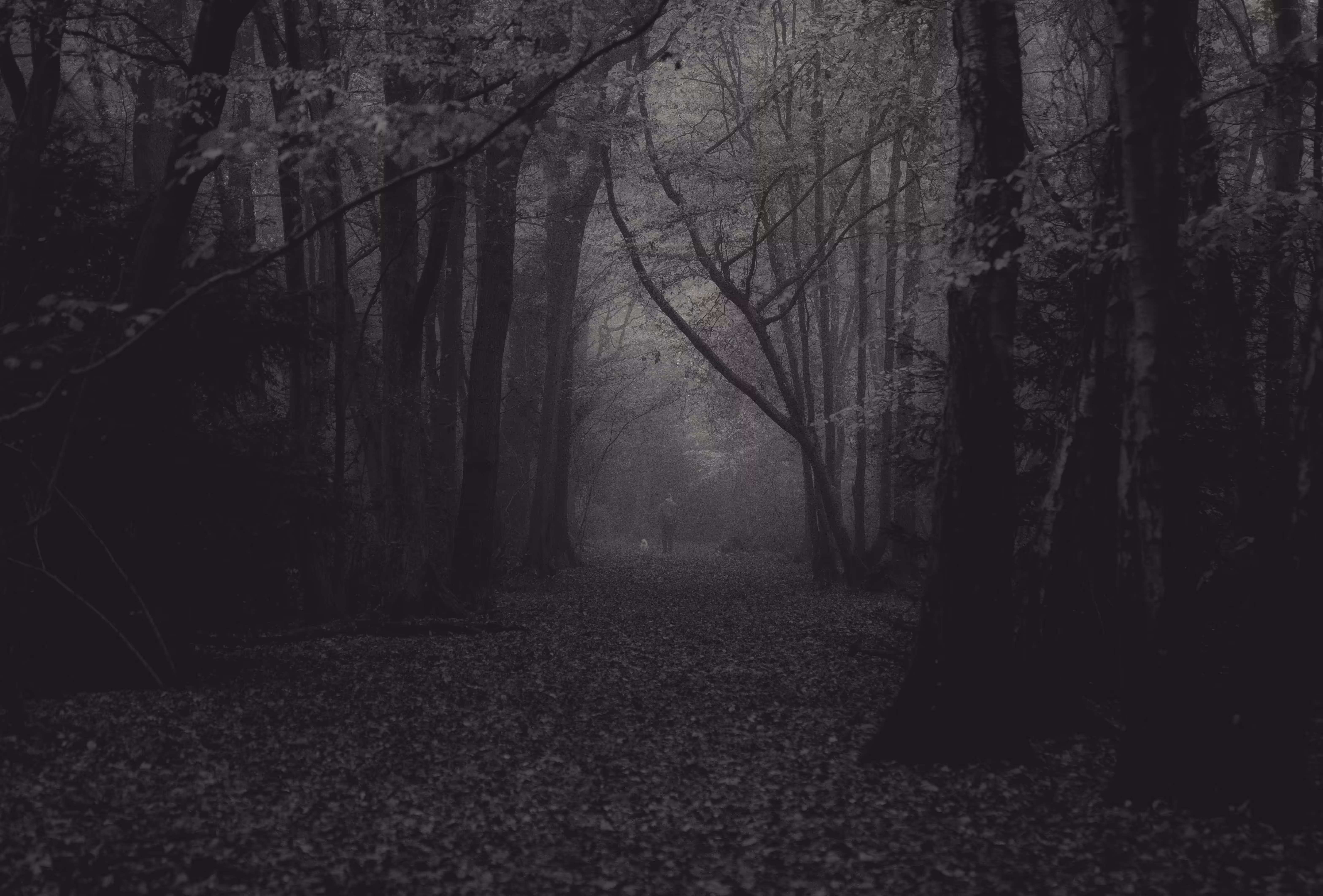 wait for me 