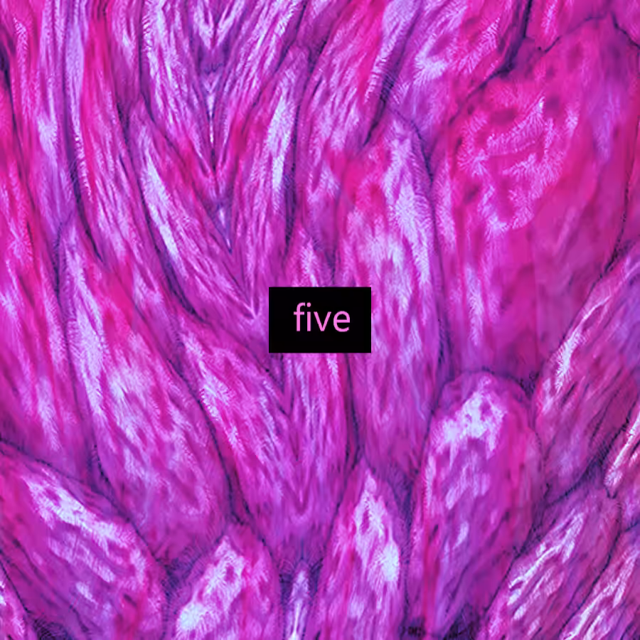 capxul 1.5 xxx instrumental pt 5
