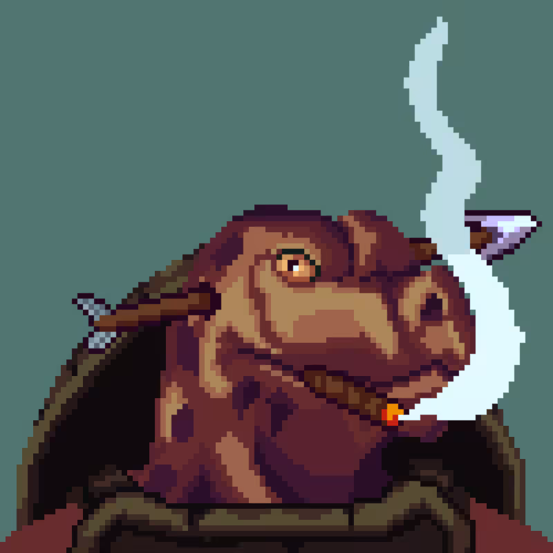 Turtles #47