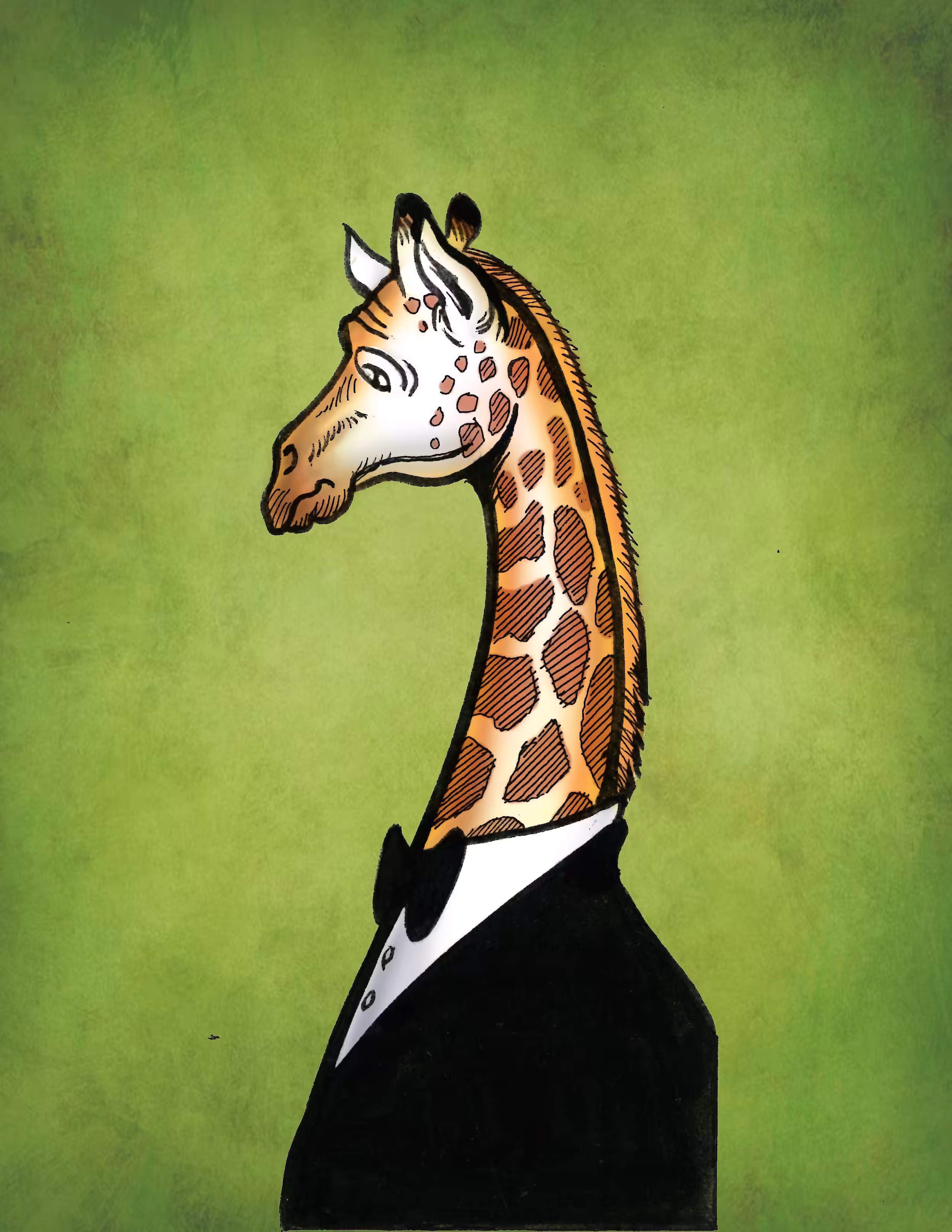 Giraffa camelopardalis