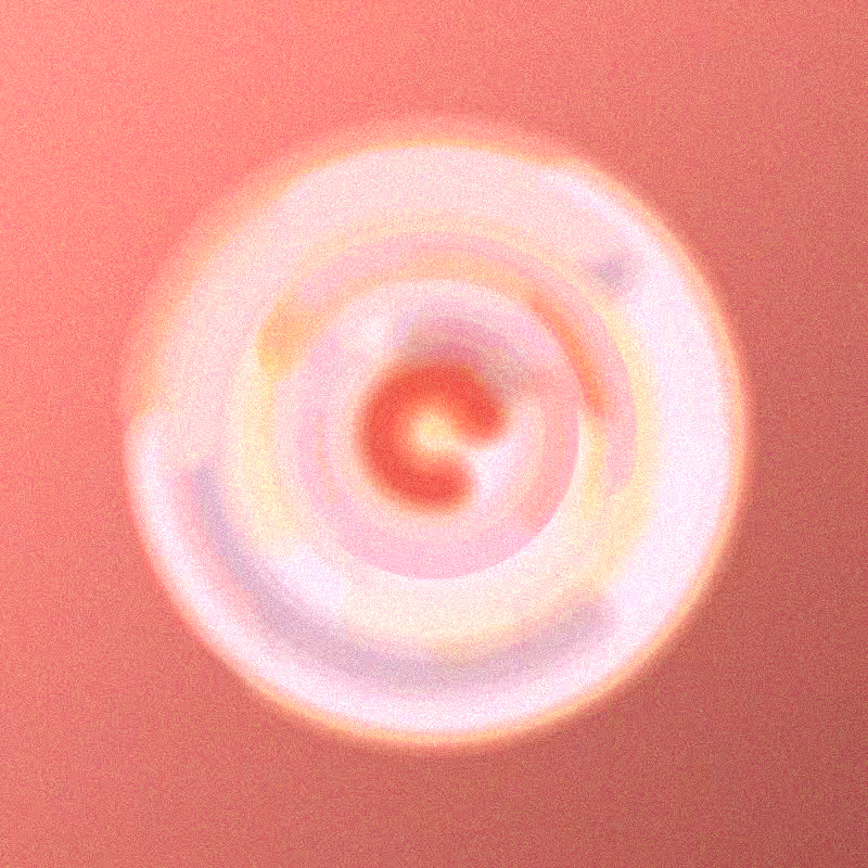 Wisp #282