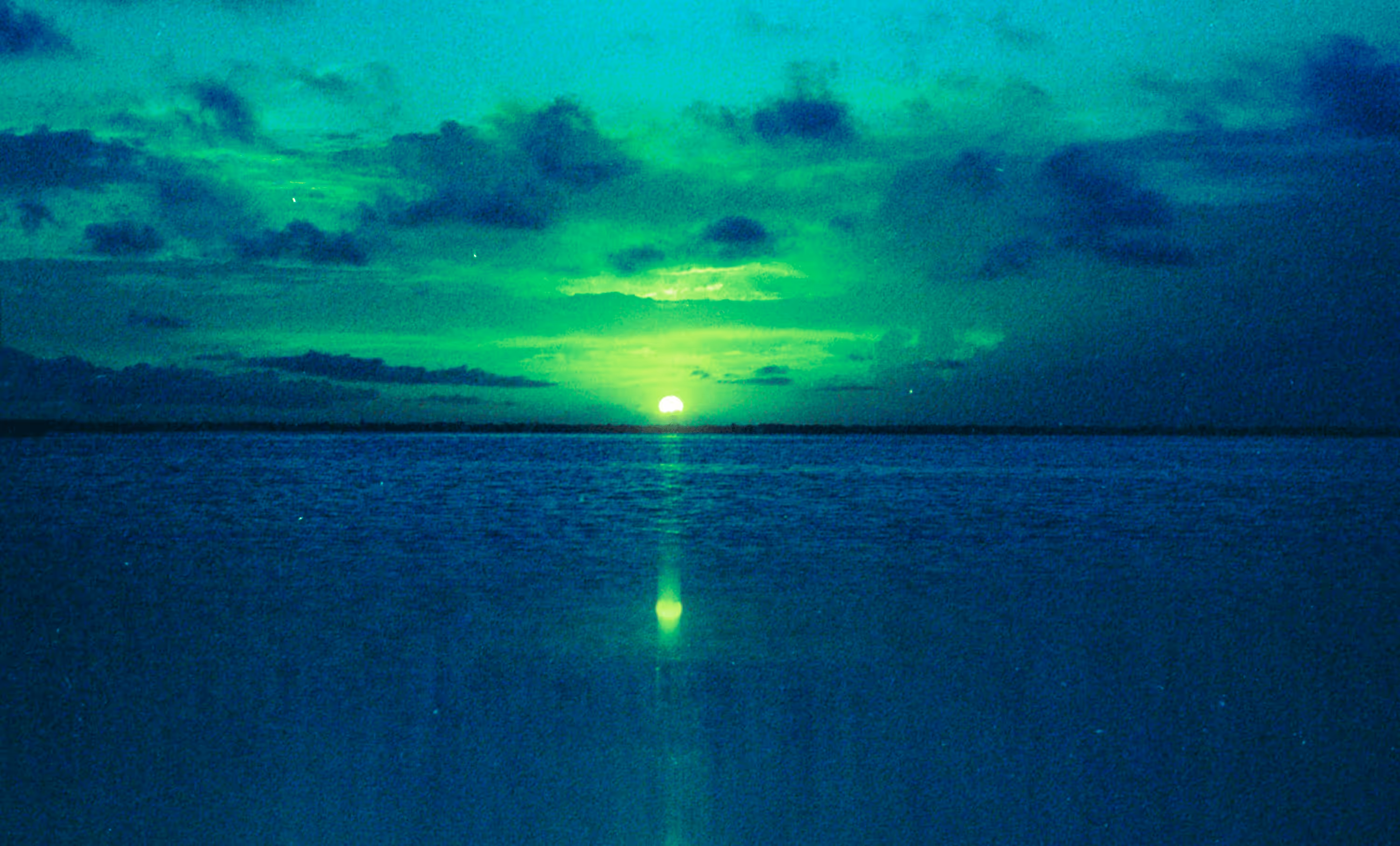 Lost Within Reflection 