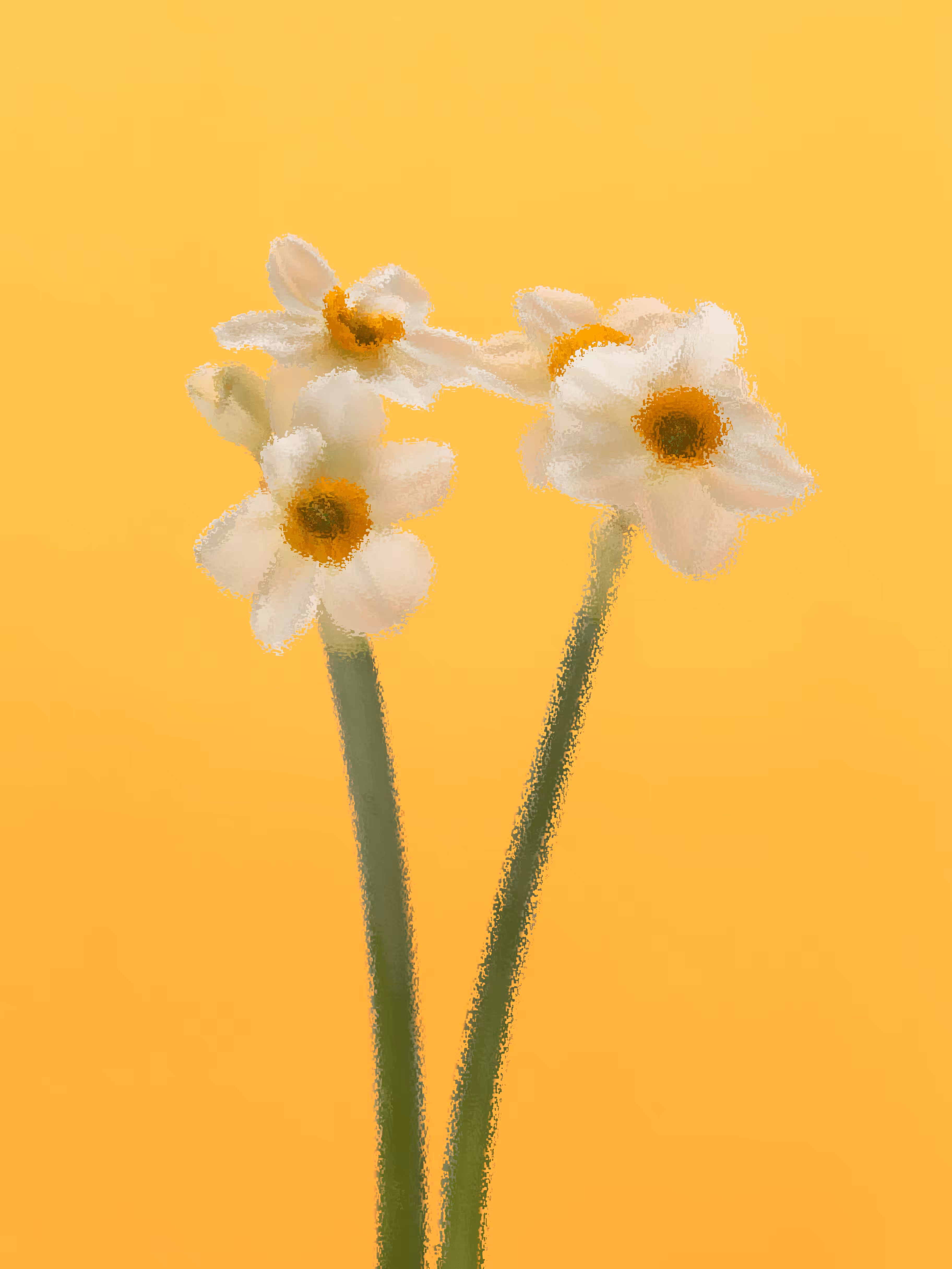 Postcard #44