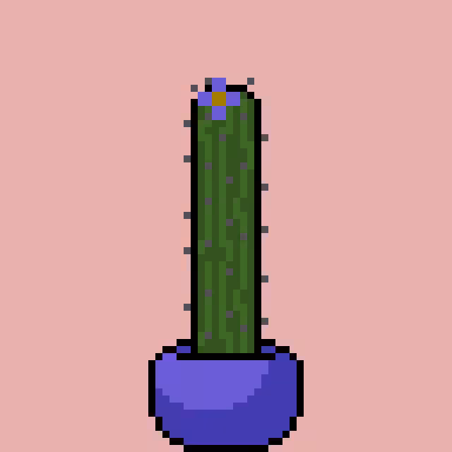 Regular Cactus #18246