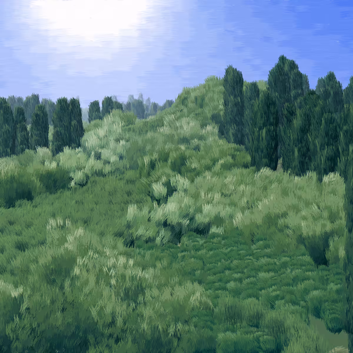 Provence #44