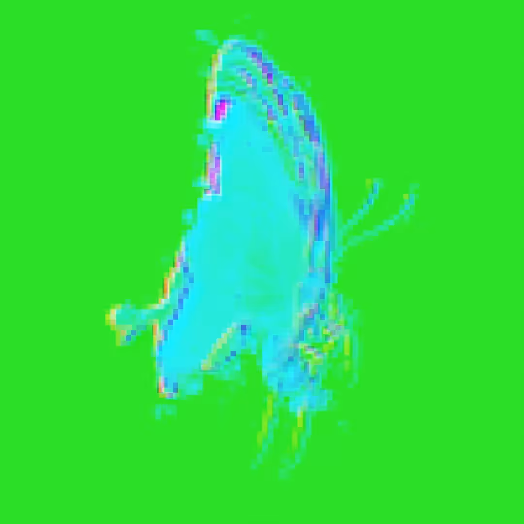 VIBN BUTTZ #013