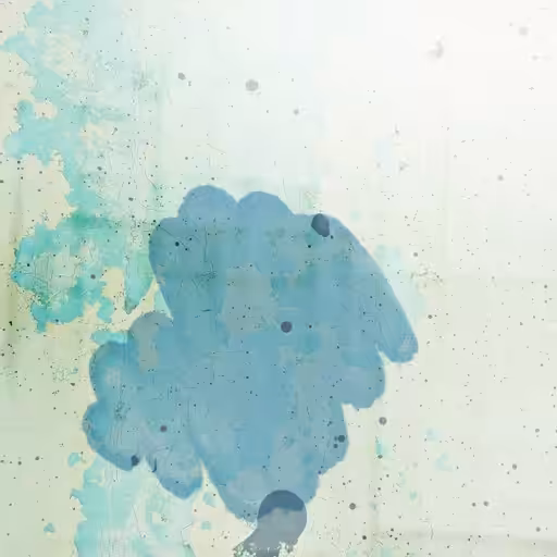 Canvas 4