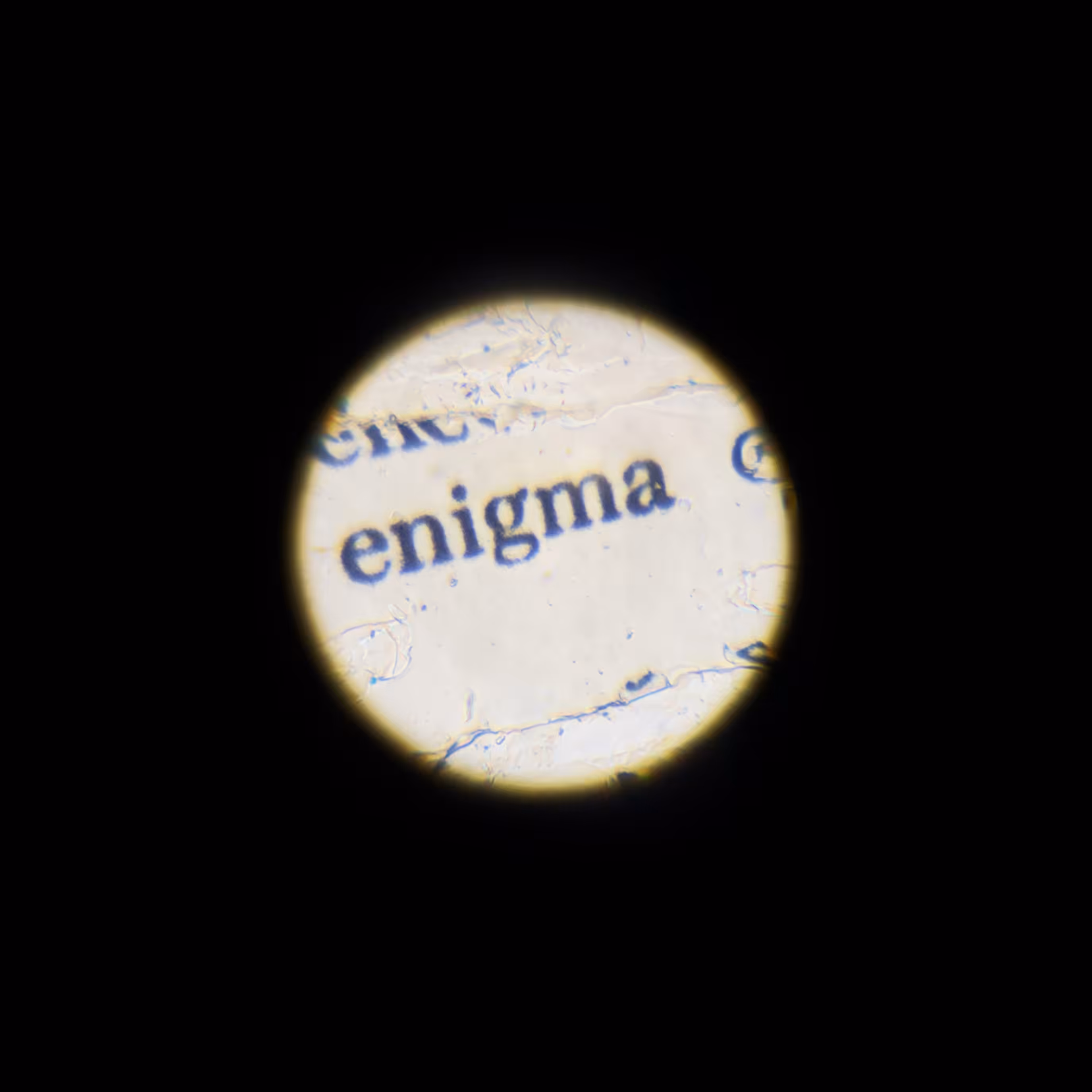 the enigma of life