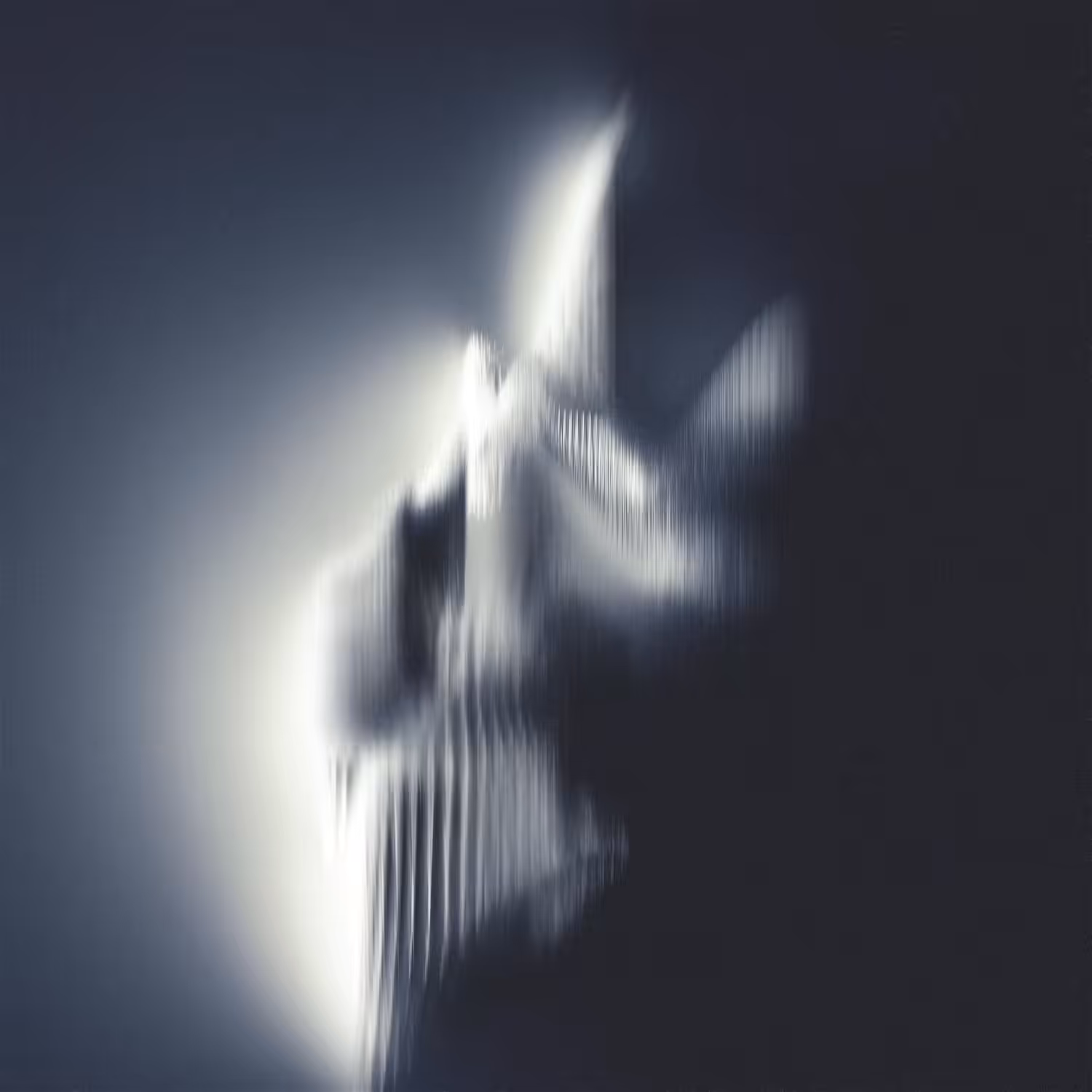 Echoes of Self
