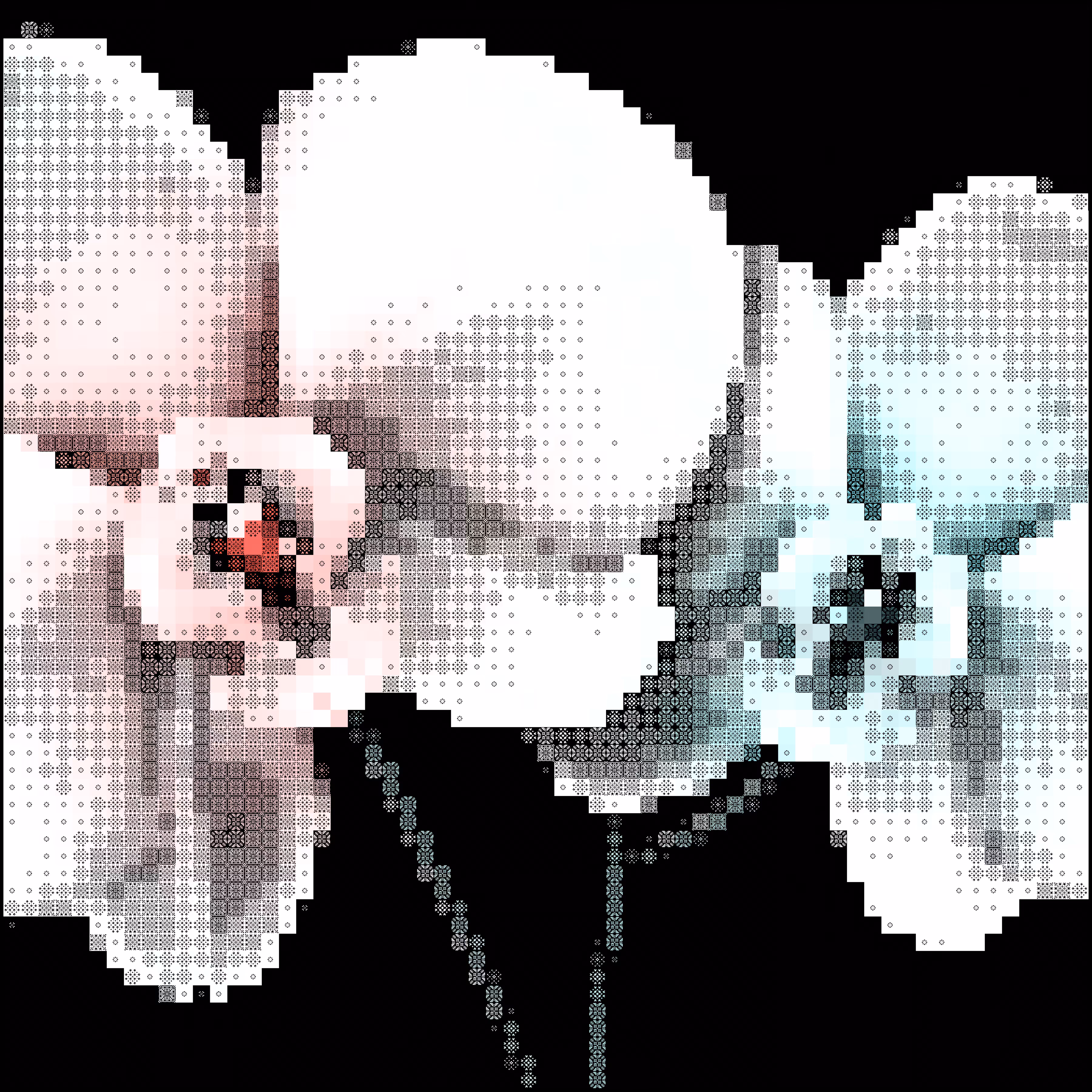 Orchid_002