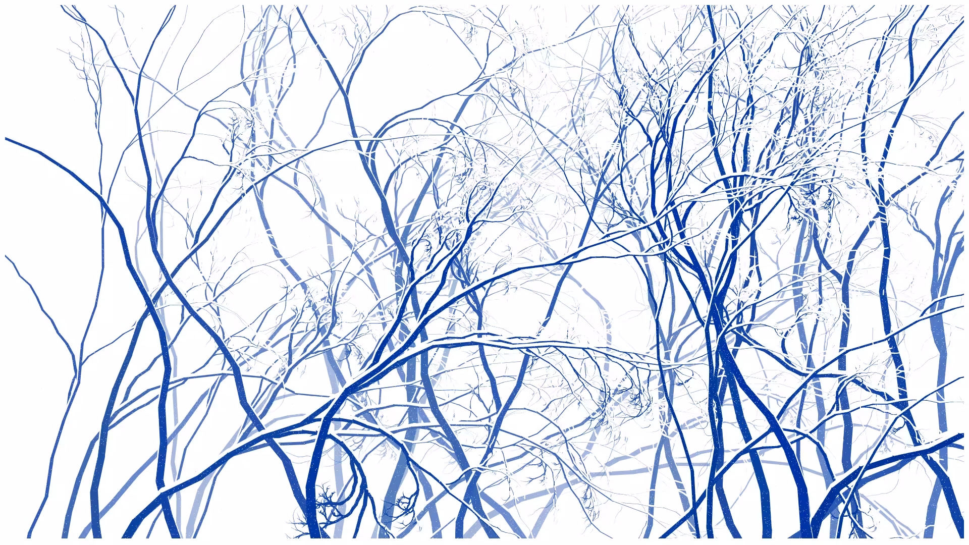SCHNEEWALD #131