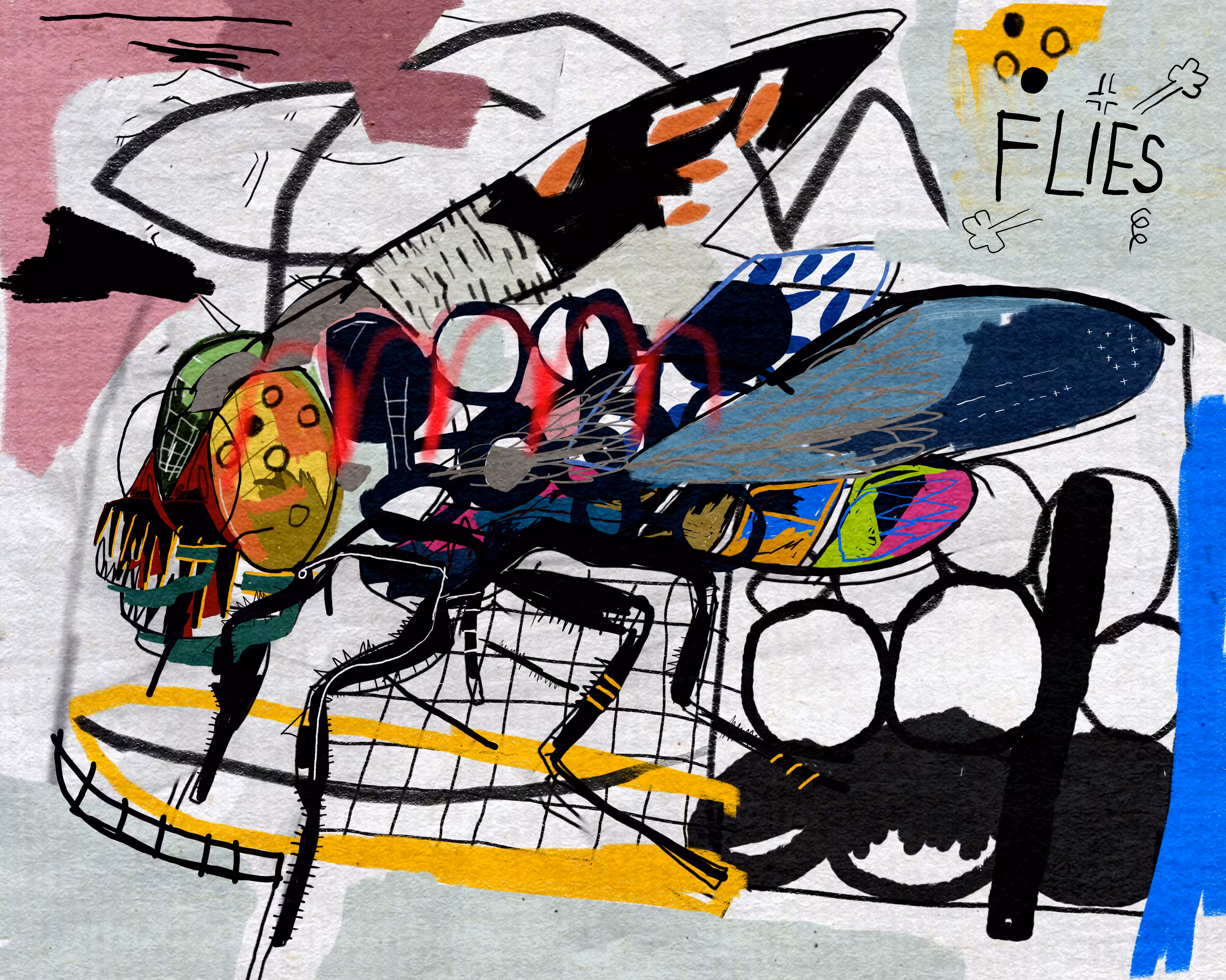 Flies