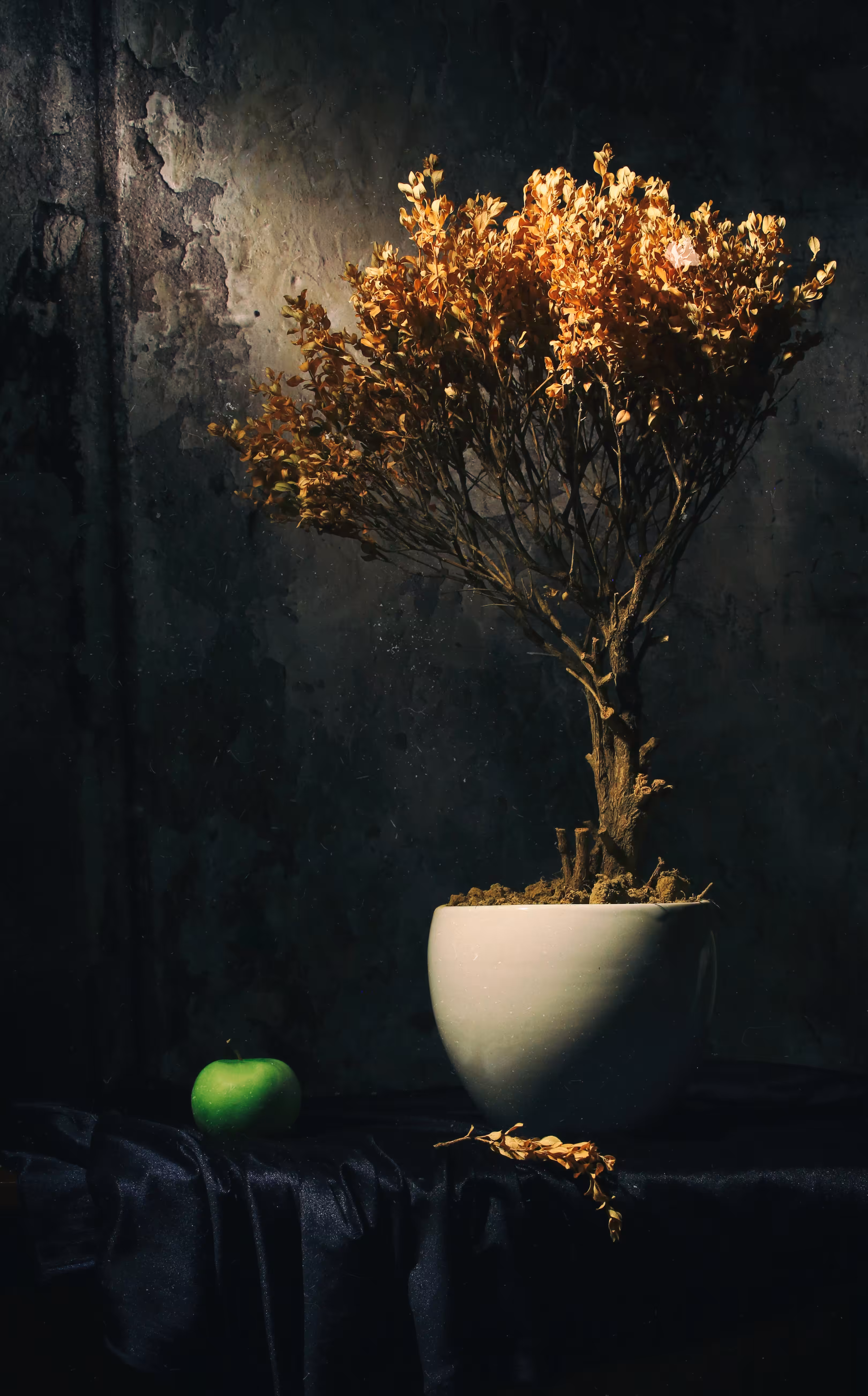 Still Life: The Fruit of Sin #11