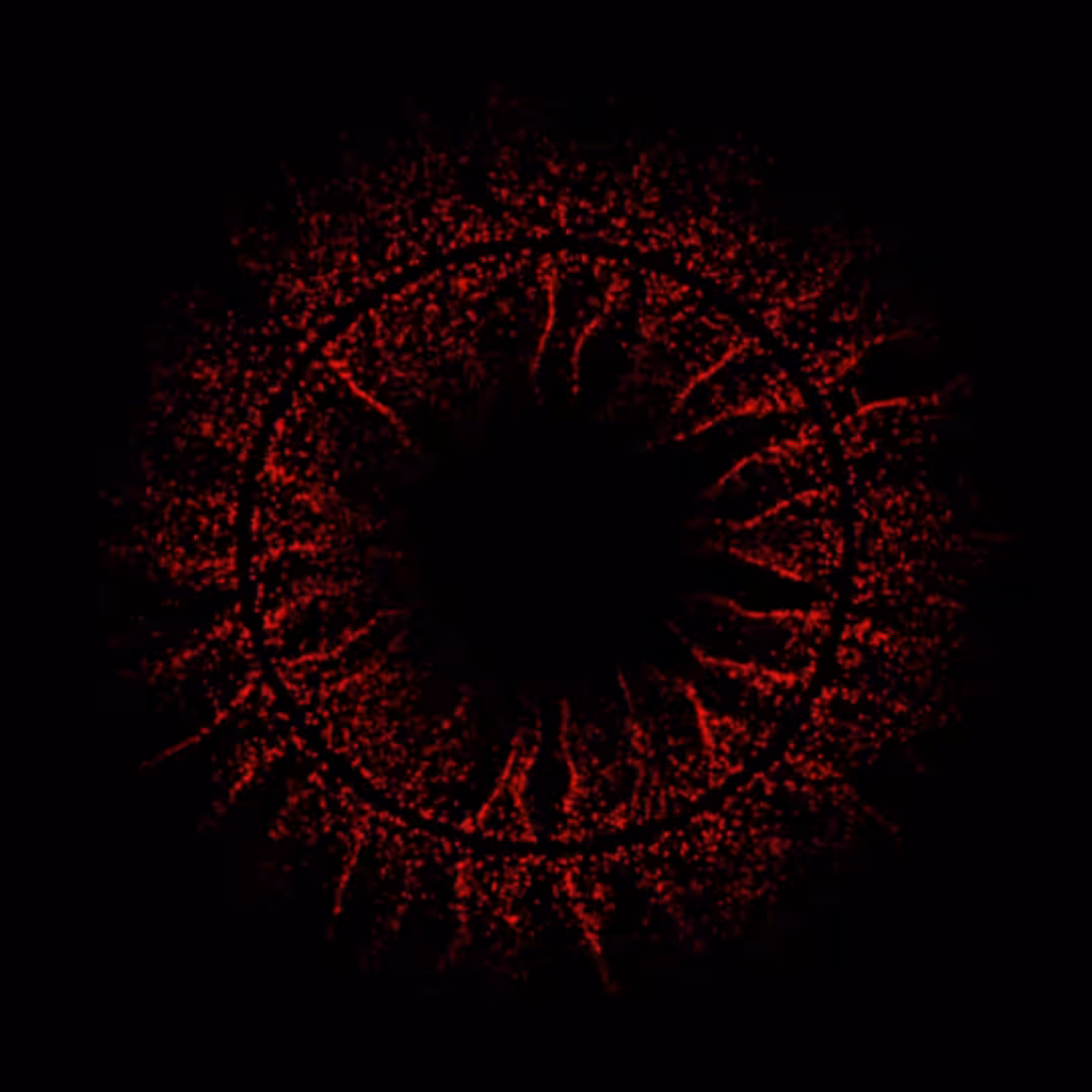 DoodleDeProgramming_2023010