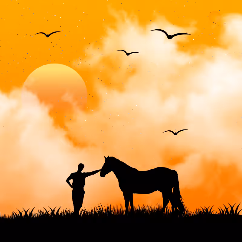 We Care...NOBLE HORSE #4