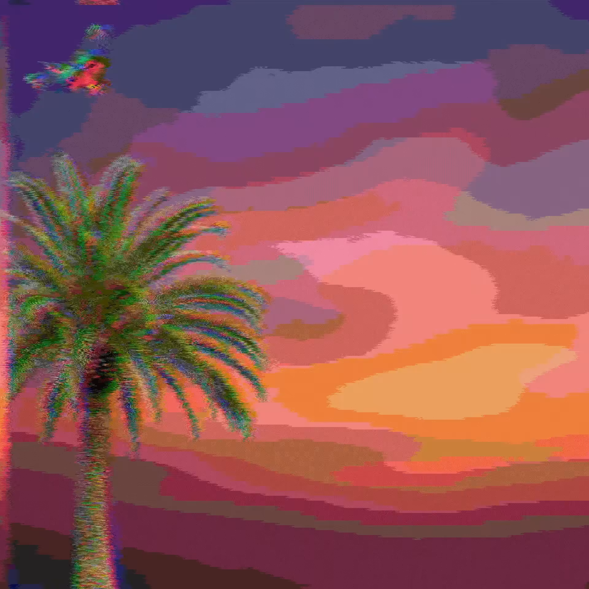 †ROPICAL SIGNAL†