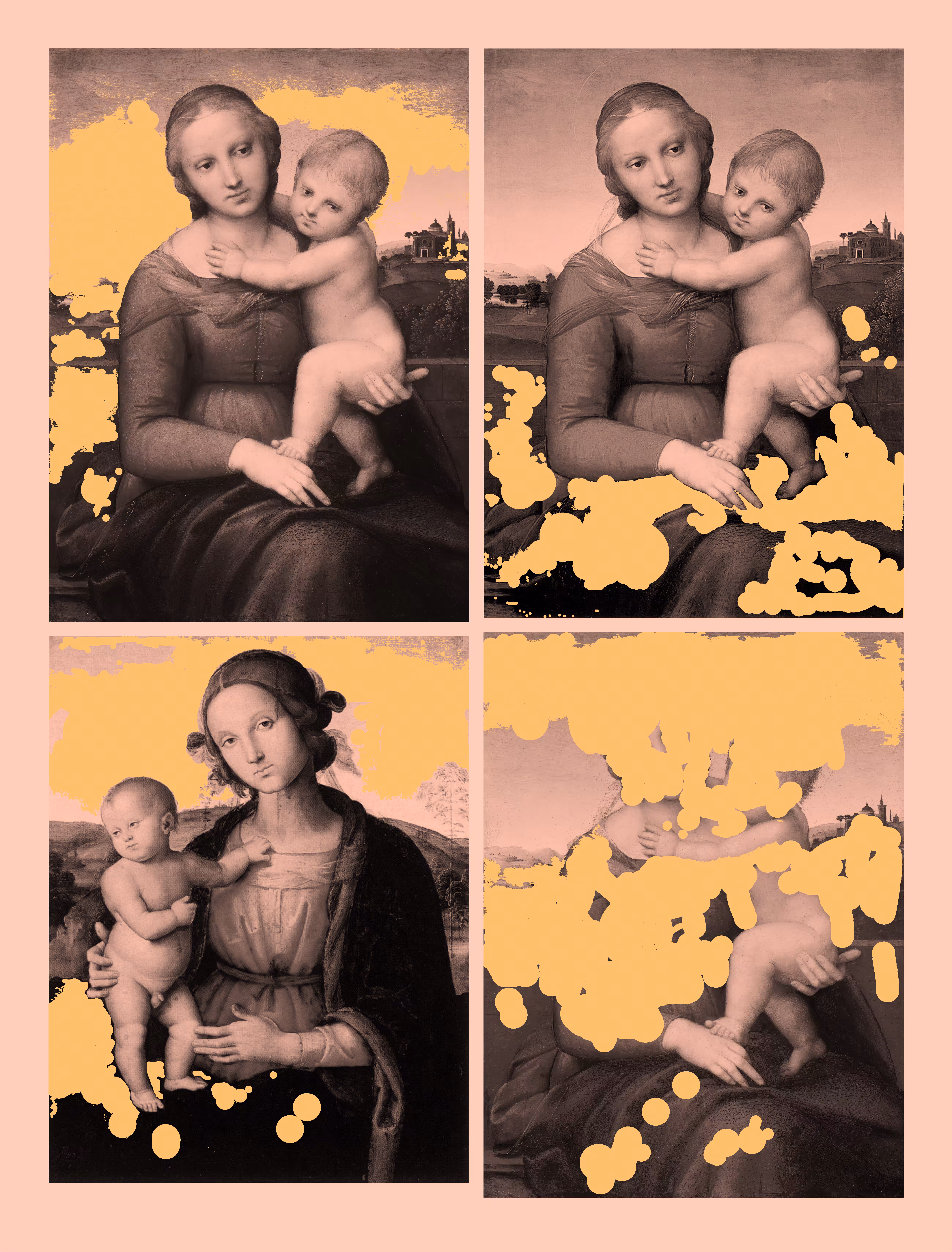 q=raphael+madonna (rose and yellow mix)