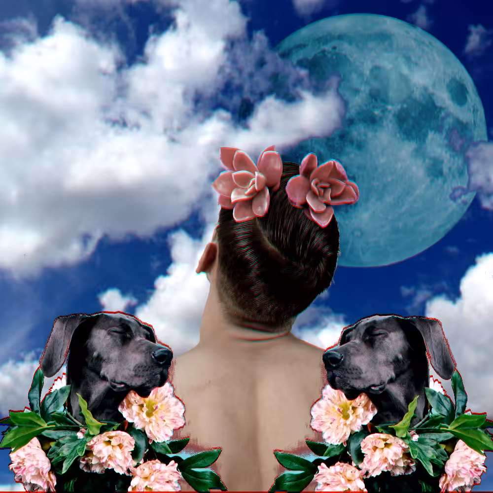 W O N D E R