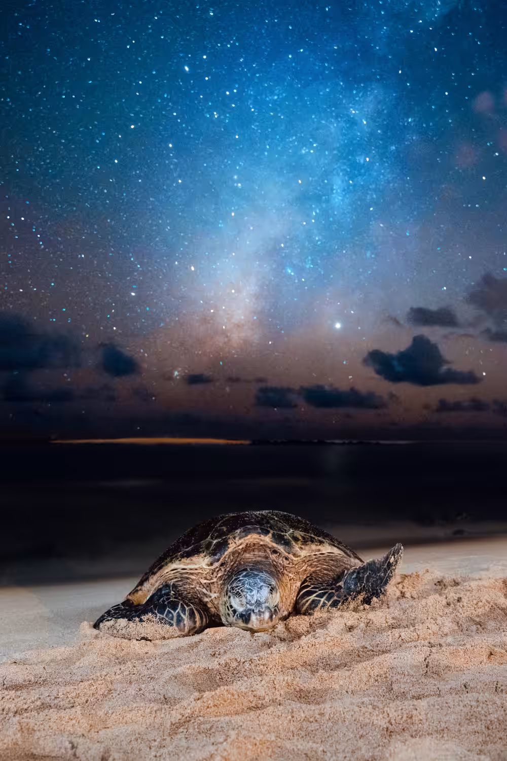 Honu