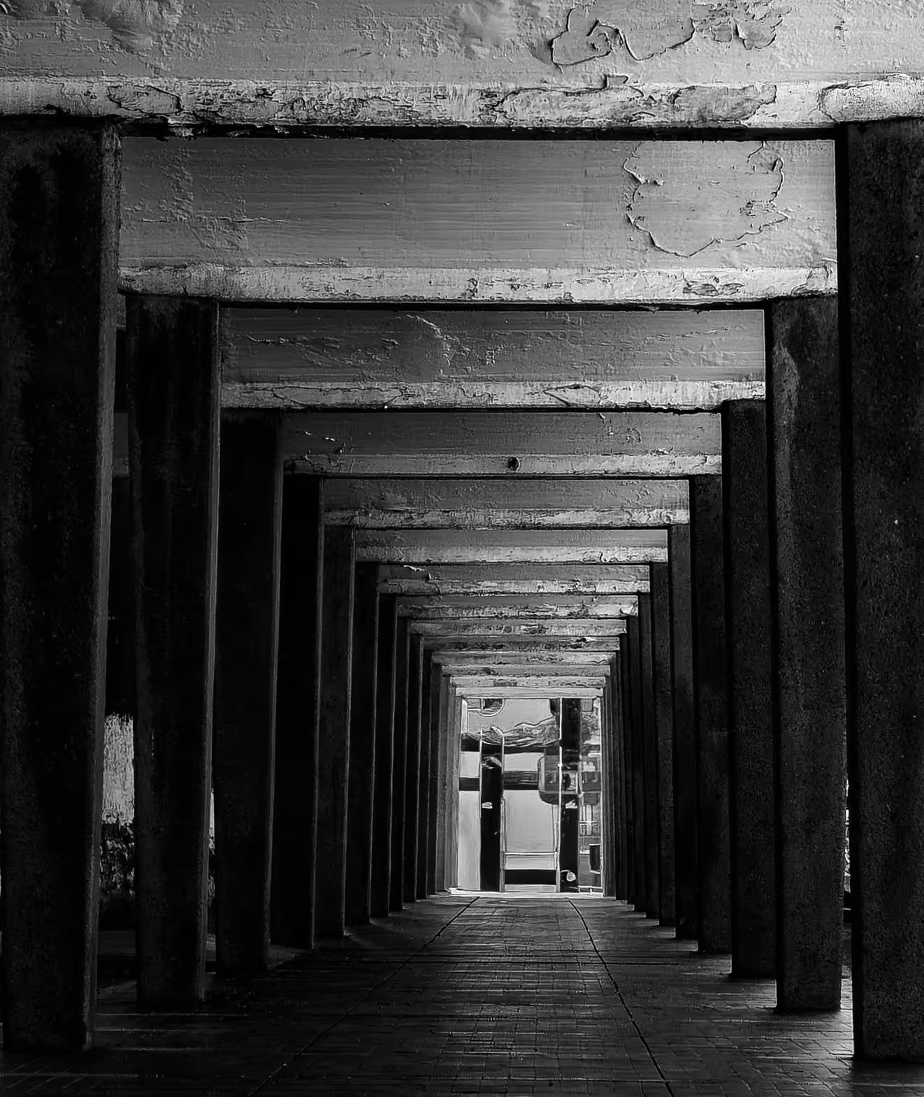 Corridor of Silence
