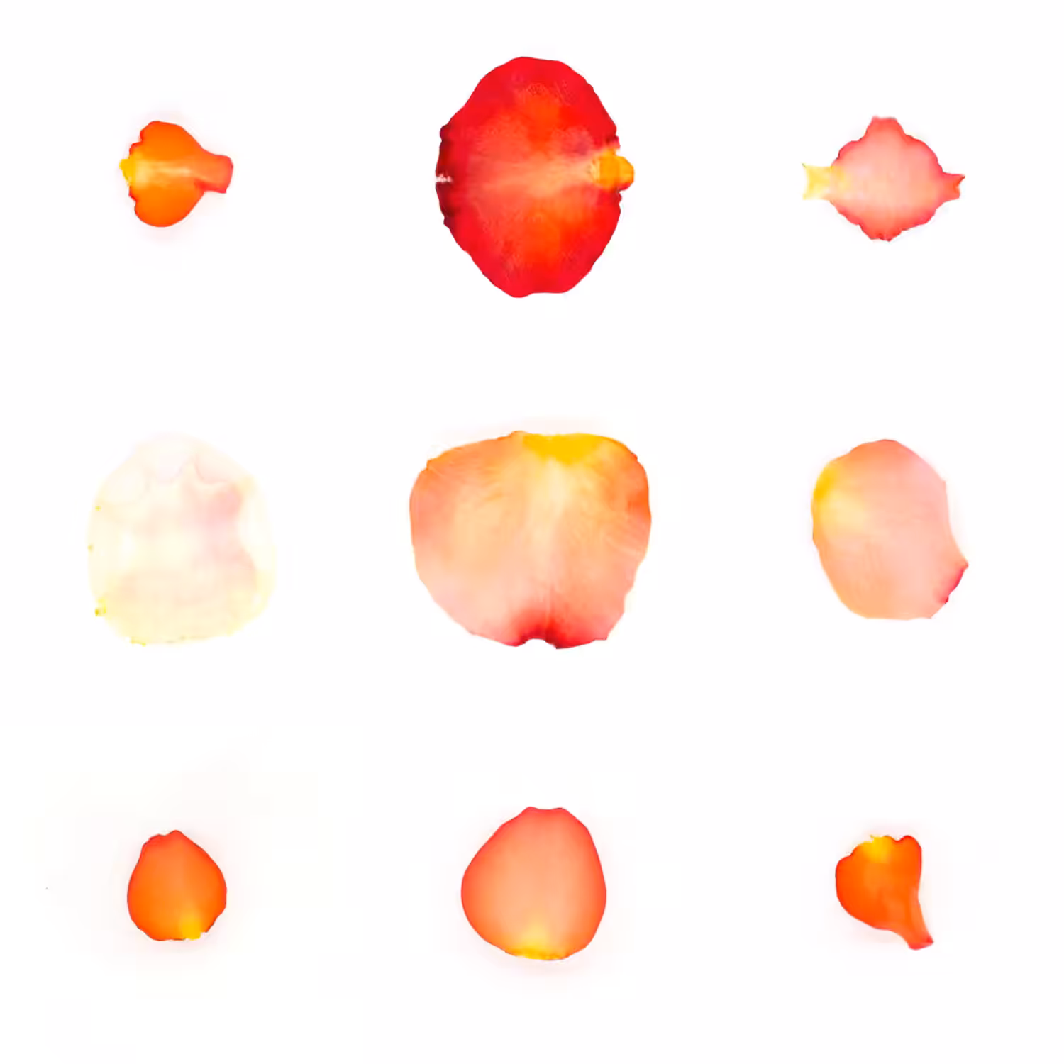 Infinite Petals 3x3#3307