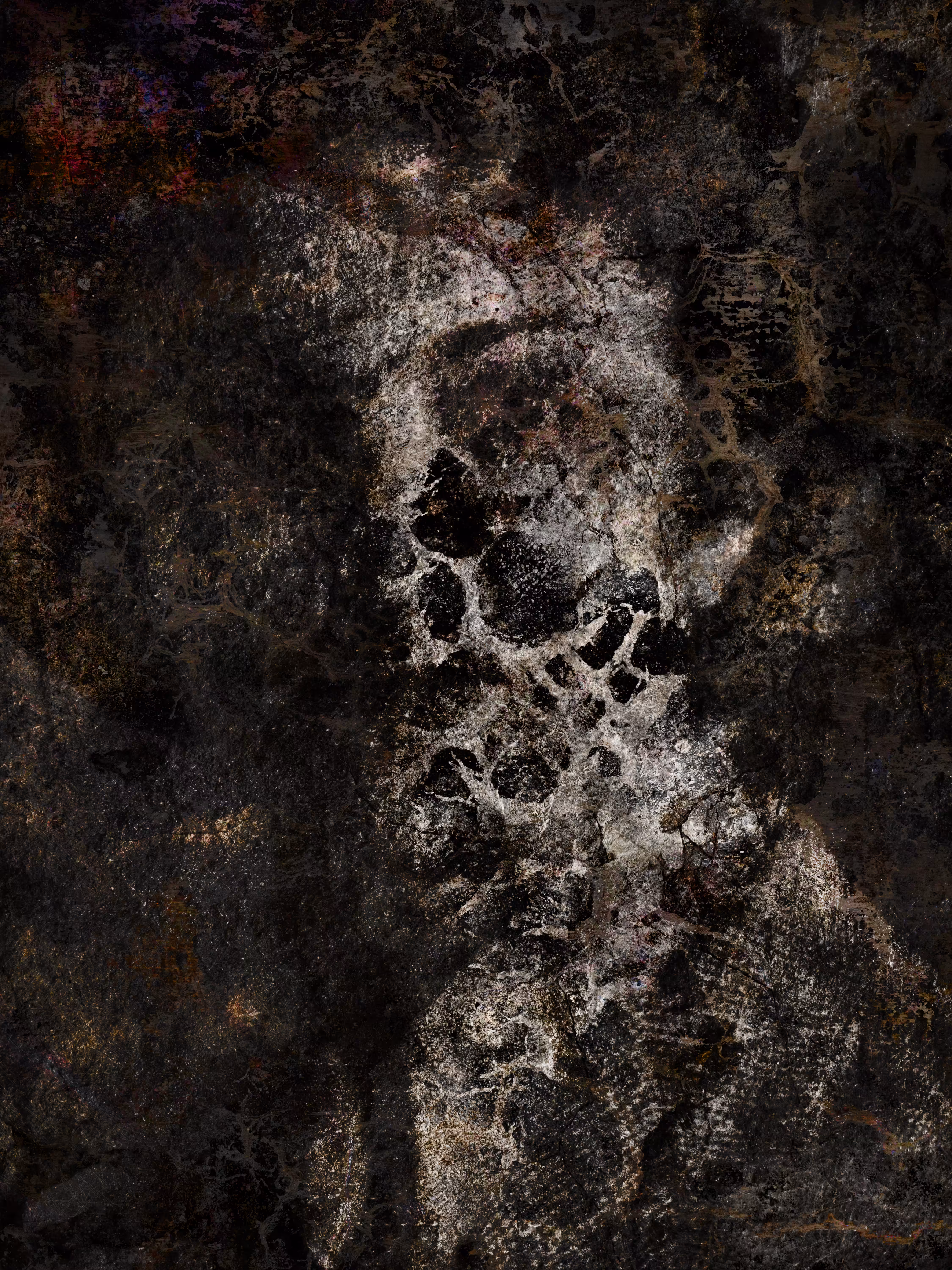 Lady in the dark